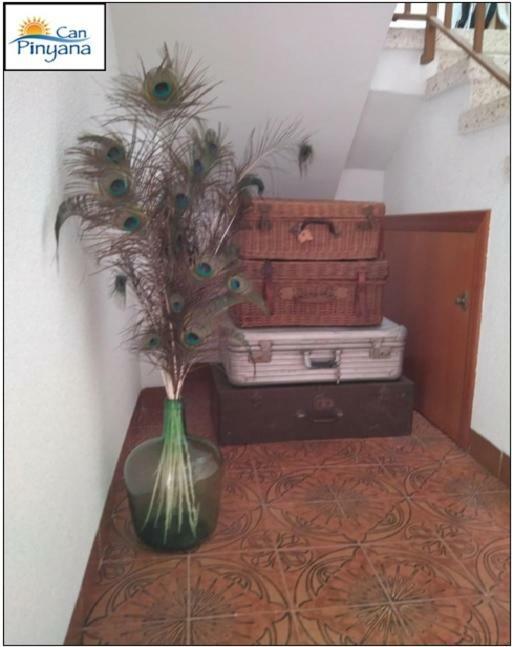 Can Pinyana Torreblanca Esterno foto